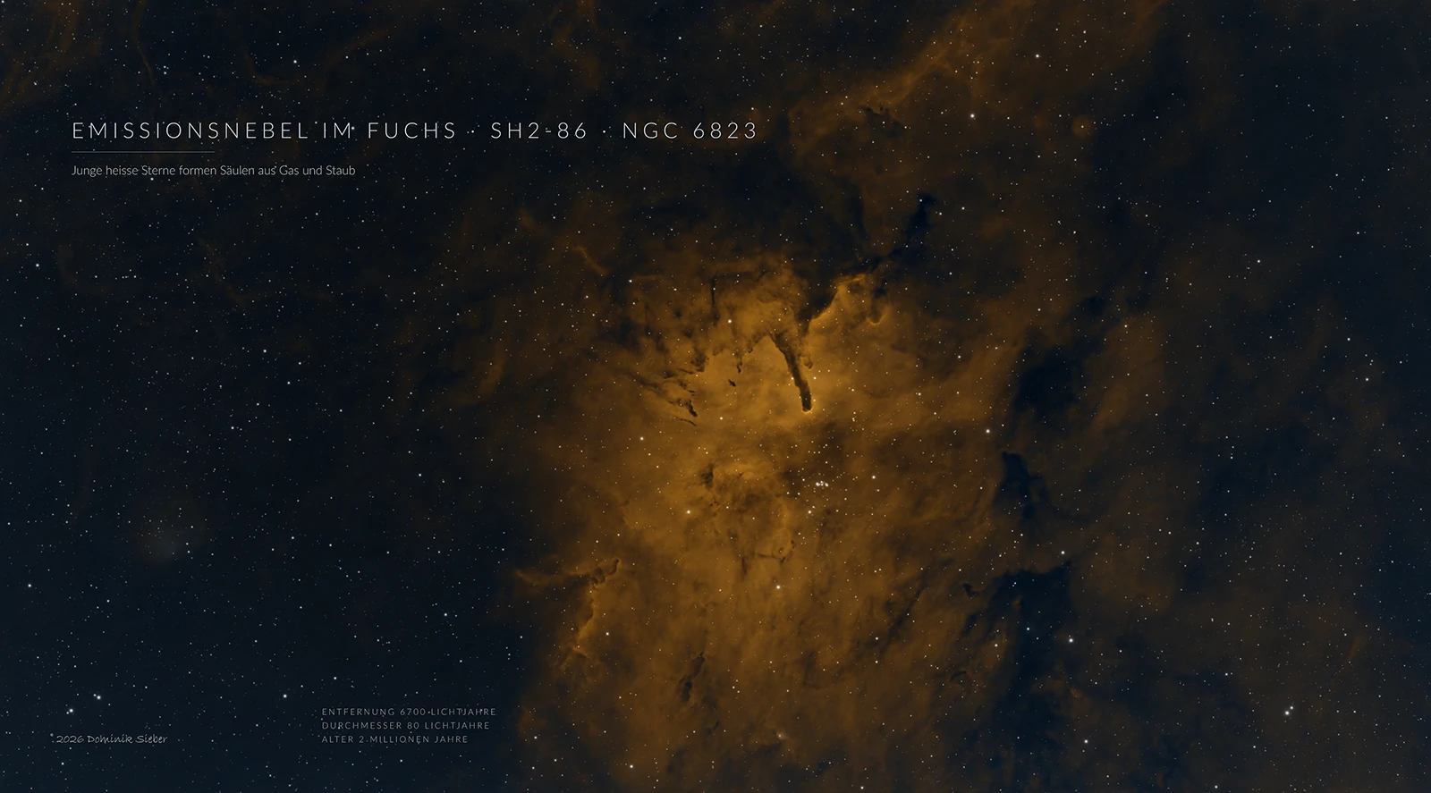 Emissionsnebel Sh2-86 mit dem Sternhaufen NGC 6823: goldener Nebel mit dunklen Staubsäulen in der Mitte